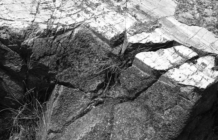 Иллюстрация к книге — Наска. Гигантские рисунки на полях [any2fbimgloader74.jpg]