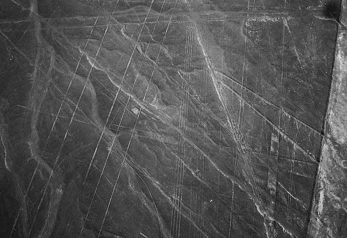 Иллюстрация к книге — Наска. Гигантские рисунки на полях [any2fbimgloader77.jpg]