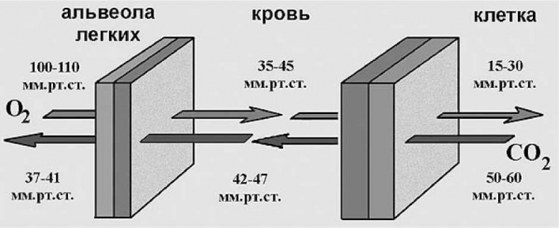Иллюстрация к книге — Древние боги. Кто они? [i_087.jpg]
