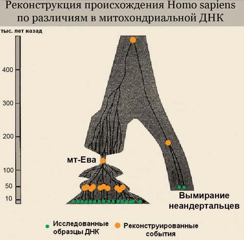 Иллюстрация к книге — Обитаемый остров Земля [i_159.jpg]