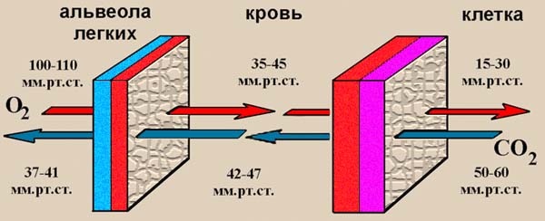 Иллюстрация к книге — Обитаемый остров Земля [i_179.jpg]