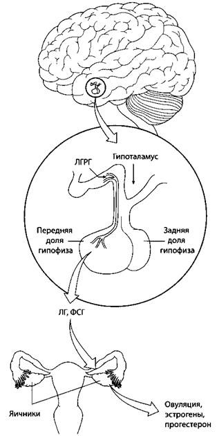 Психология стресса