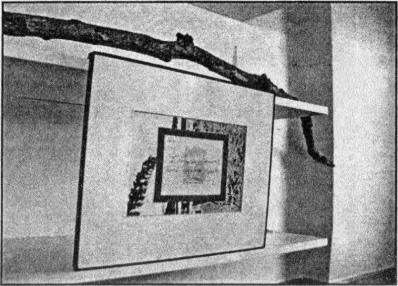 Иллюстрация к книге — Панкшуй [i_024.jpg]