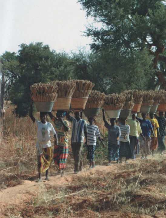 Иллюстрация к книге — Тайные знания догонов об истоках человечества [i_053.jpg]