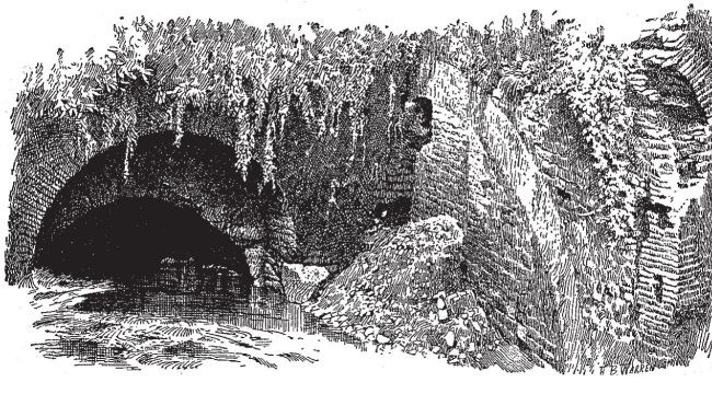 Иллюстрация к книге — Здесь был Рим. Современные прогулки по древнему городу [i_015.jpg]