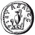 Иллюстрация к книге — Здесь был Рим. Современные прогулки по древнему городу [i_113.jpg]