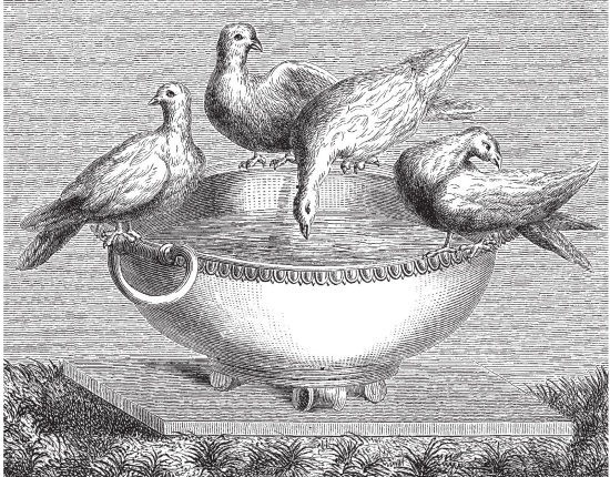 Иллюстрация к книге — Здесь был Рим. Современные прогулки по древнему городу [i_239.jpg]