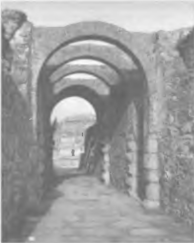 Иллюстрация к книге — История древней Испании [img_39.jpg]