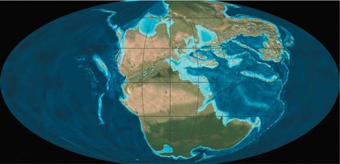 Иллюстрация к книге — Динозавры. 150 000 000 лет господства на Земле [i_020.jpg]