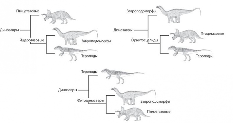 Иллюстрация к книге — Динозавры. 150 000 000 лет господства на Земле [i_035.jpg]