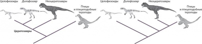 Иллюстрация к книге — Динозавры. 150 000 000 лет господства на Земле [i_041.jpg]