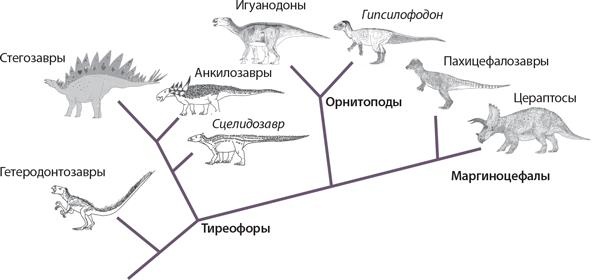Иллюстрация к книге — Динозавры. 150 000 000 лет господства на Земле [i_065.jpg]