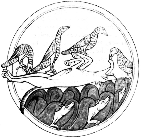 Иллюстрация к книге — Средневековый бестиарий. Что думали наши предки об окружающем их мире [i_026.jpg]