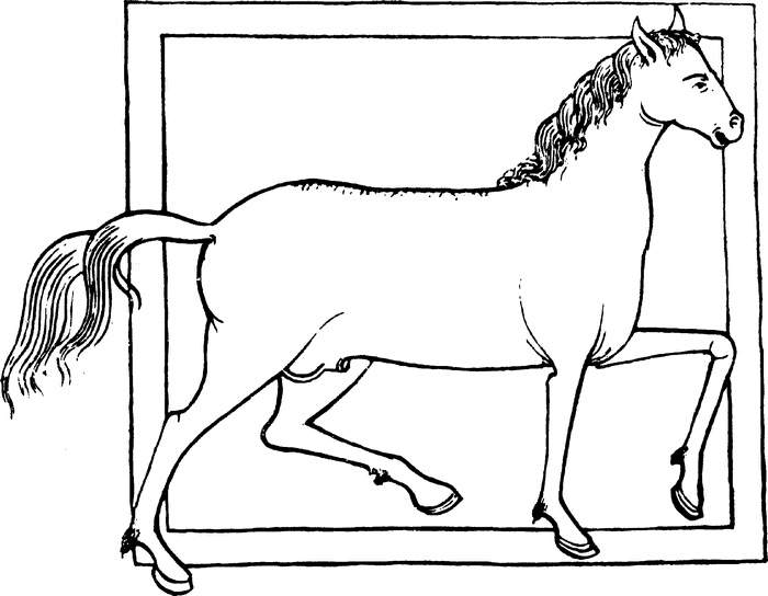 Иллюстрация к книге — Средневековый бестиарий. Что думали наши предки об окружающем их мире [i_045.jpg]