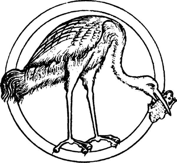 Иллюстрация к книге — Средневековый бестиарий. Что думали наши предки об окружающем их мире [i_056.jpg]