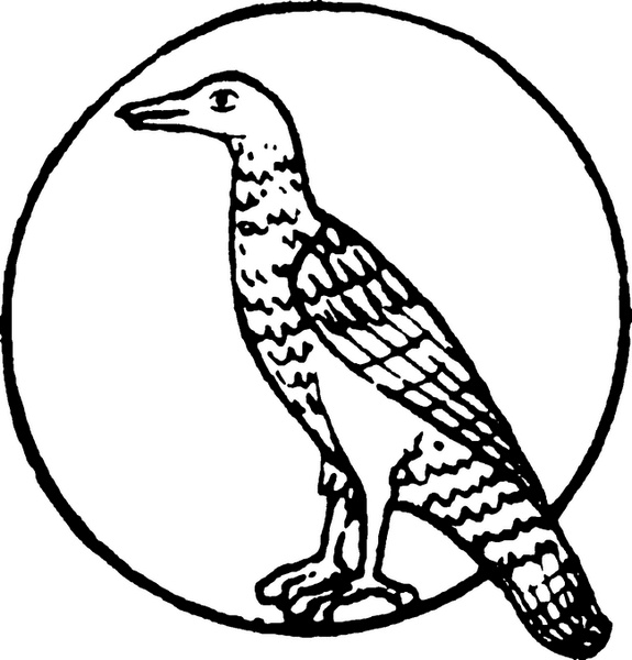 Иллюстрация к книге — Средневековый бестиарий. Что думали наши предки об окружающем их мире [i_081.jpg]