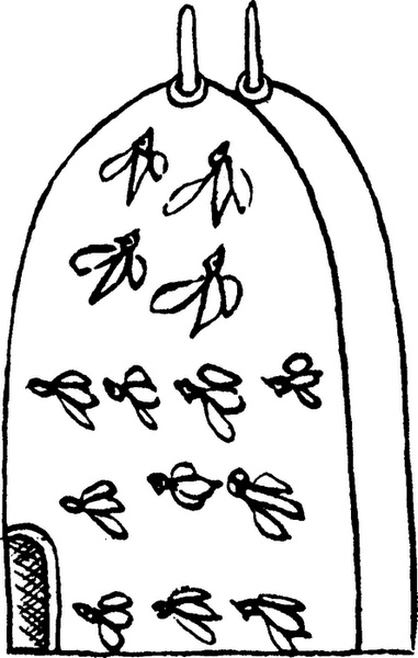 Иллюстрация к книге — Средневековый бестиарий. Что думали наши предки об окружающем их мире [i_086.jpg]