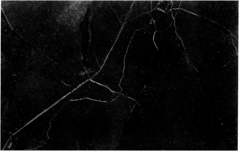 Иллюстрация к книге — &quot;Илья Муромец&quot;. Гордость русской авиации [i_197.jpg]