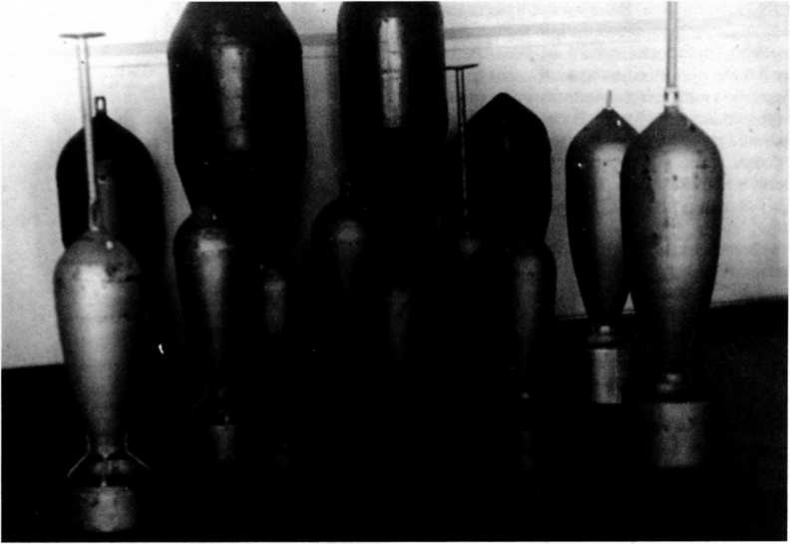 Иллюстрация к книге — &quot;Илья Муромец&quot;. Гордость русской авиации [i_237.jpg]