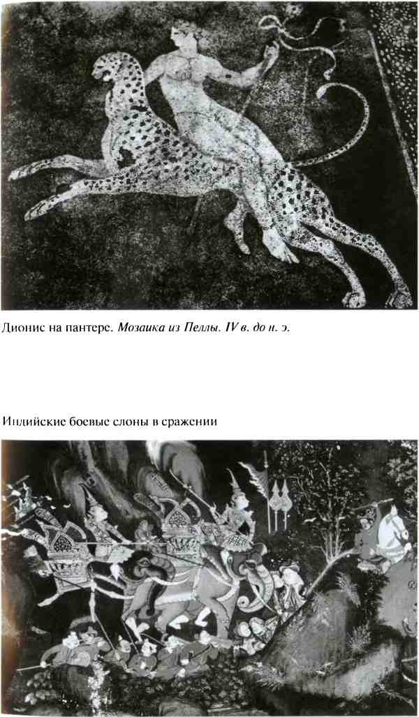 Иллюстрация к книге — Повседневная жизнь армии Александра Македонского [i_015.jpg]