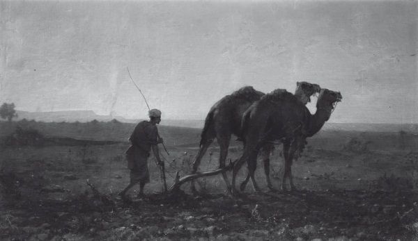 Иллюстрация к книге — История ислама. Исламская цивилизация от рождения до наших дней [i_185.jpg]