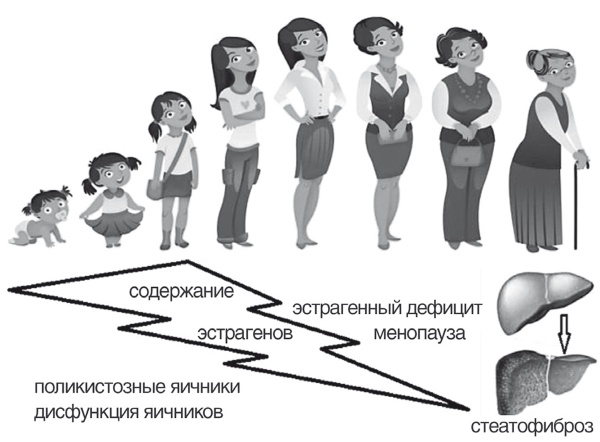 Иллюстрация к книге — Неалкогольная жировая болезнь печени [i_008.jpg]