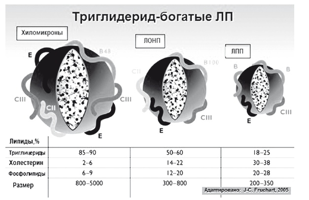Иллюстрация к книге — Неалкогольная жировая болезнь печени [i_013.jpg]
