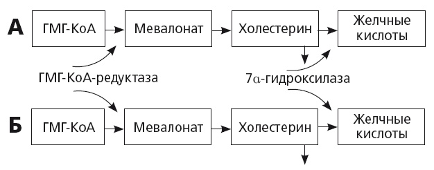 Иллюстрация к книге — Неалкогольная жировая болезнь печени [i_020.jpg]