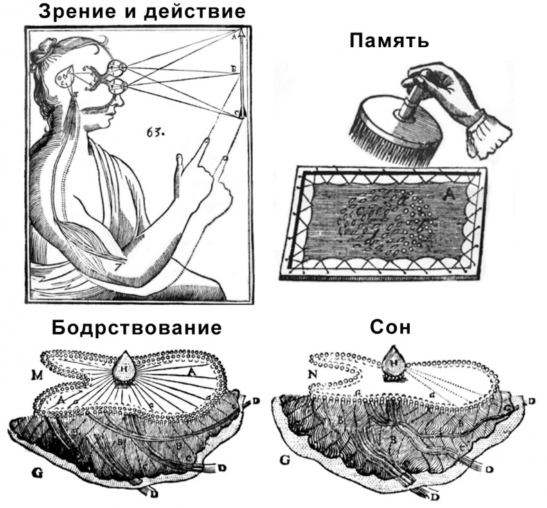 Иллюстрация к книге — Сознание и мозг. Как мозг кодирует мысли [i_003.jpg]