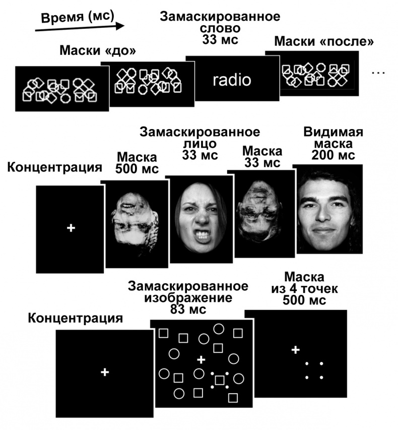 Иллюстрация к книге — Сознание и мозг. Как мозг кодирует мысли [i_008.jpg]