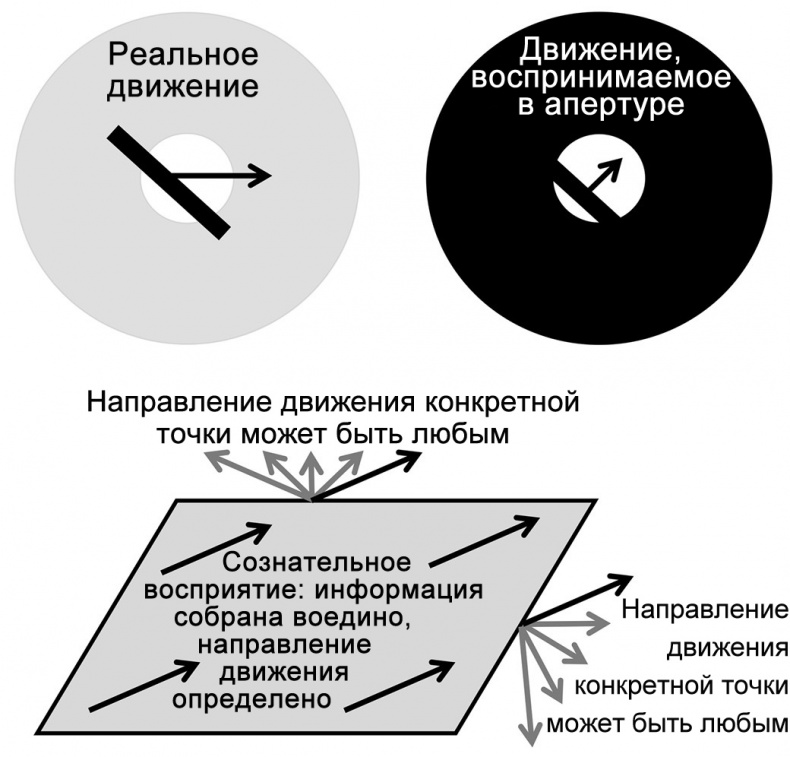 Иллюстрация к книге — Сознание и мозг. Как мозг кодирует мысли [i_016.jpg]