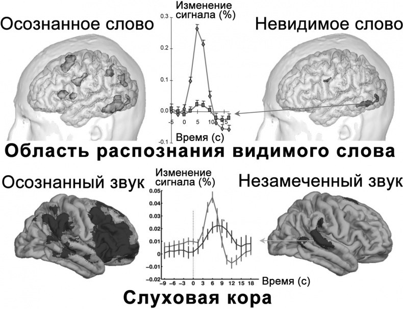 Иллюстрация к книге — Сознание и мозг. Как мозг кодирует мысли [i_018.jpg]