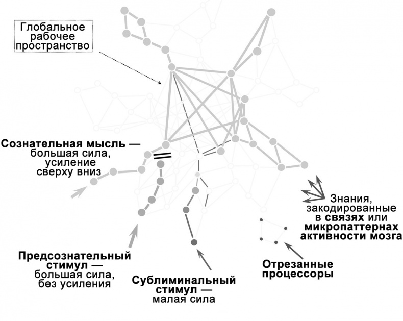 Иллюстрация к книге — Сознание и мозг. Как мозг кодирует мысли [i_031.jpg]