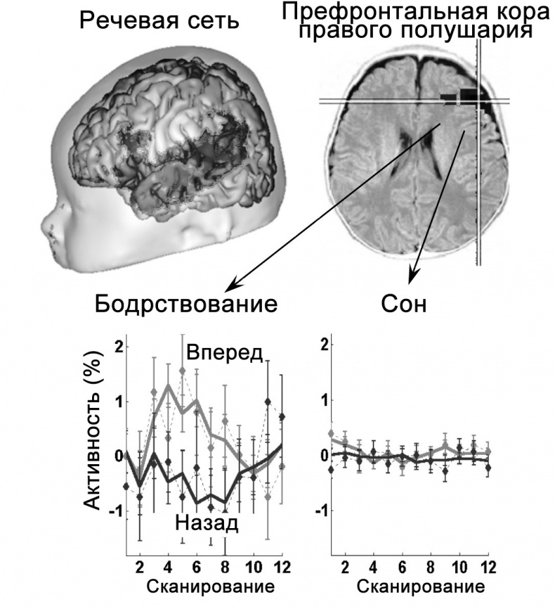 Иллюстрация к книге — Сознание и мозг. Как мозг кодирует мысли [i_037.jpg]