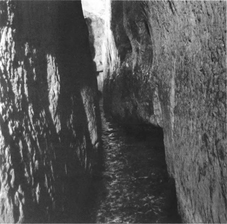 Иллюстрация к книге — Повседневная жизнь людей Библии [img_10.jpg]