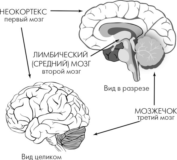 Иллюстрация к книге — Я Вас слушаю! Или как подружить Фому с Ерёмой [i_001.jpg]