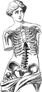 Иллюстрация к книге — Модицина. Encyclopedia Pathologica [_122.jpg]