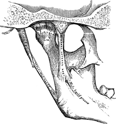Иллюстрация к книге — Модицина. Encyclopedia Pathologica [_127.jpg]