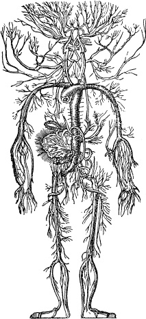 Иллюстрация к книге — Модицина. Encyclopedia Pathologica [_131.jpg]
