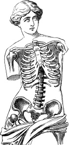 Иллюстрация к книге — Модицина. Encyclopedia Pathologica [_132.jpg]