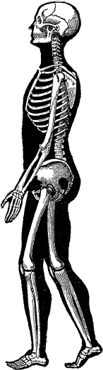 Иллюстрация к книге — Модицина. Encyclopedia Pathologica [_41.jpg]