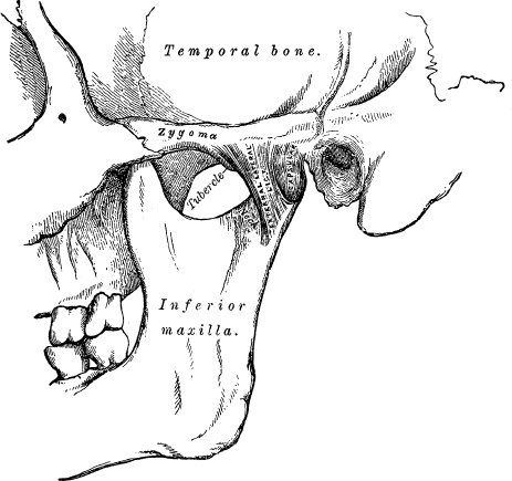 Иллюстрация к книге — Модицина. Encyclopedia Pathologica [_42.jpg]