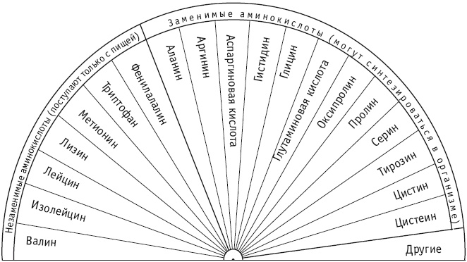 Иллюстрация к книге — Секреты женской биолокации. Эмоциональное введение в Многомерную медицину. Радиэстезия - путь к гармонии и счастью [autogen_ebook_id116.jpg]