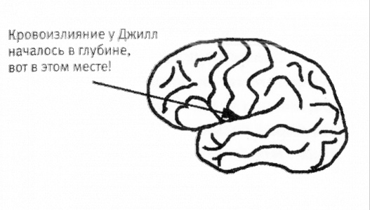 Иллюстрация к книге — Мой инсульт был мне наукой. История собственной болезни, рассказанная нейробиологом [_121269.jpg]