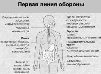 Иллюстрация к книге — Имя ему СПИД. Четвертый всадник Апокалипсиса [i_001.jpg]