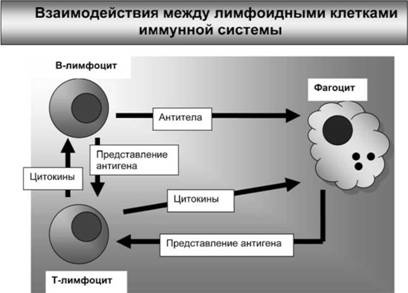 Иллюстрация к книге — Имя ему СПИД. Четвертый всадник Апокалипсиса [i_004.jpg]