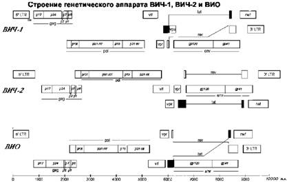 Иллюстрация к книге — Имя ему СПИД. Четвертый всадник Апокалипсиса [i_015.jpg]