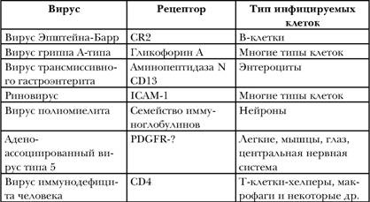 Иллюстрация к книге — Имя ему СПИД. Четвертый всадник Апокалипсиса [i_018.jpg]