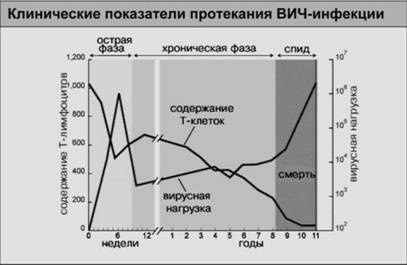 Иллюстрация к книге — Имя ему СПИД. Четвертый всадник Апокалипсиса [i_040.jpg]