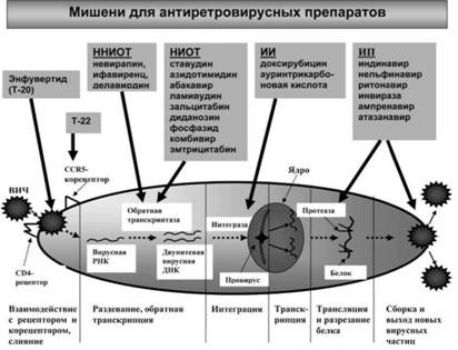 Иллюстрация к книге — Имя ему СПИД. Четвертый всадник Апокалипсиса [i_046.jpg]